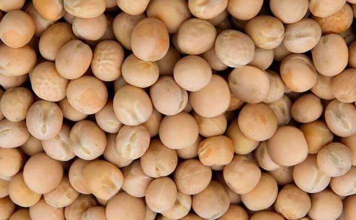 Import of Yellow peas is restricted for 3 months Import of Yellow peas is restricted for 3 months- India TV Paisa
