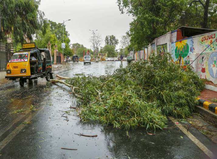 Commuters ride past a fallen tree after a thunderstorm... Commuters ride past a fallen tree after a thunderstorm...- India TV