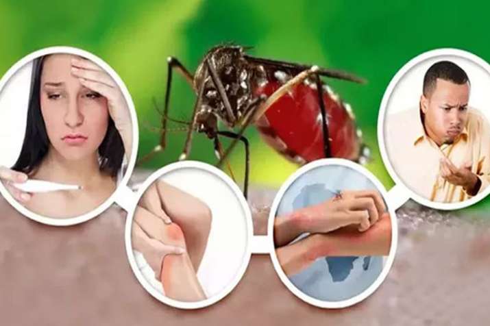 national Dengue day national Dengue day- Khabar IndiaTV