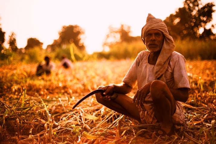 Farmers to stop supplies for 10 days in June, call for Bharat Bandh Farmers to stop supplies for 10 days in June, call for Bharat Bandh- India TV