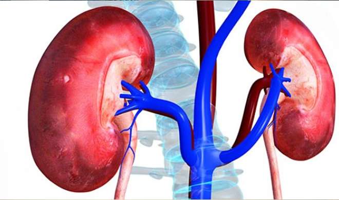 kidney problem kidney problem- India TV