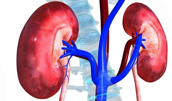 kidney kidney- India TV