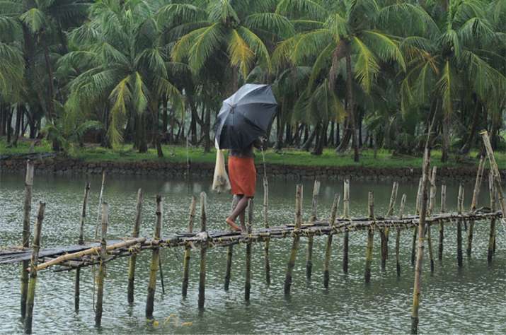 Monsoon likely to hit Kerala in 24-48 hours says Skymet Weather Monsoon likely to hit Kerala in 24-48 hours says Skymet Weather- India TV Paisa