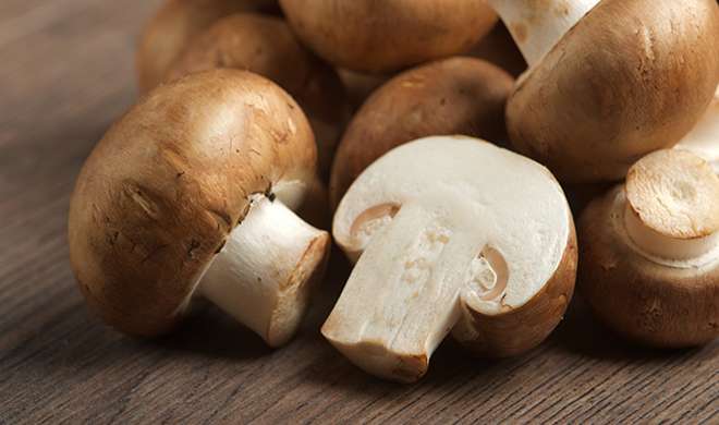 mushroom mushroom- India TV