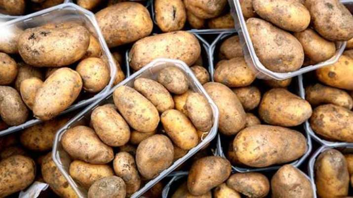 Potato wholesale price rose 50 percent in 2 months despite record 50 million tons production Potato wholesale price rose 50 percent in 2 months despite record 50 million tons production- IndiaTV Paisa
