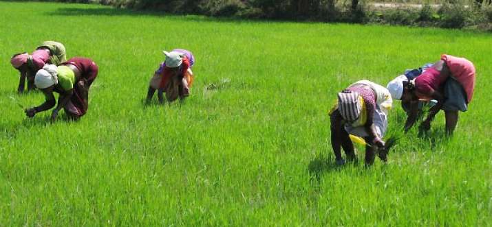 Farmers Farmers- India TV Paisa