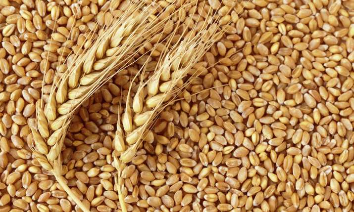 Wheat Procurement Wheat Procurement- India TV Paisa