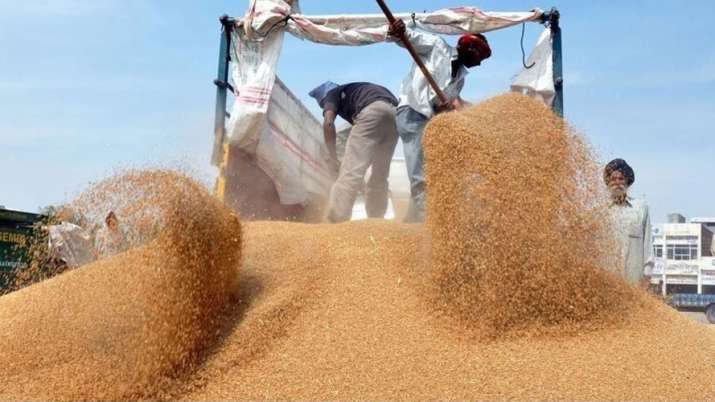 Wheat procurement for 2018-19 season surpasses target Wheat procurement for 2018-19 season surpasses target - India TV Paisa