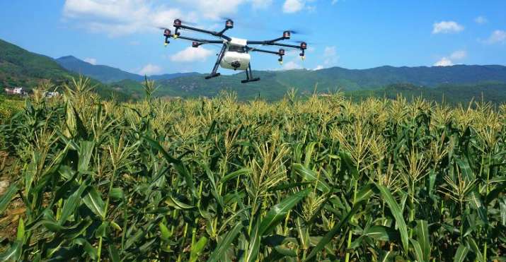 Role of Drones in Agri Sector Role of Drones in Agri Sector- India TV Paisa