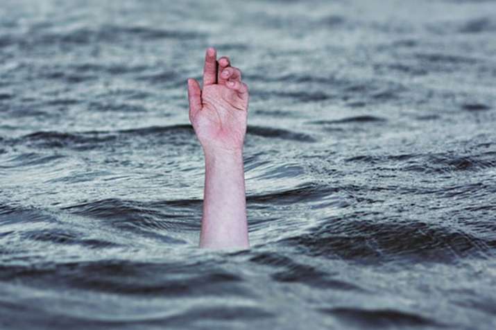 Jammu Kashmir: Youth drowns while saving dog in Srinagar | Pixabay Representational Jammu Kashmir: Youth drowns while saving dog in Srinagar | Pixabay Representational- India TV