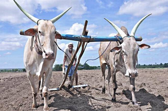 Farm Loan Waiver Farm Loan Waiver- India TV Paisa