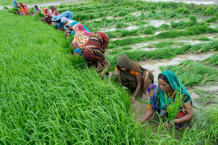 Farm Farm - India TV Paisa