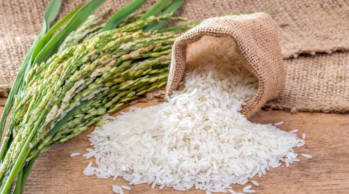 India rice export rose 17 percent during April and May India rice export rose 17 percent during April and May - India TV Paisa