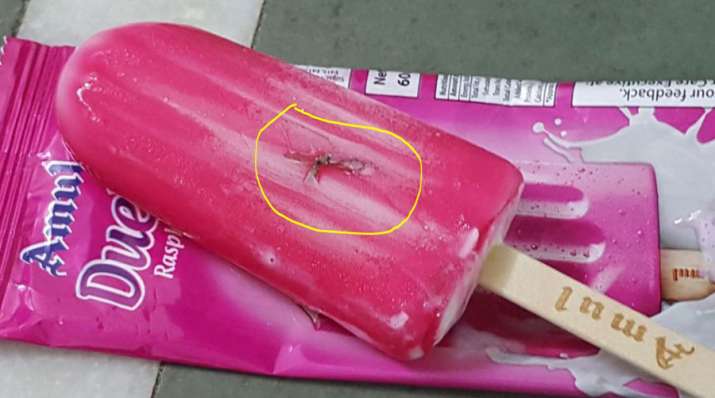 FSSAI ask Amul to submit report after Big Insect found in amul ice cream FSSAI ask Amul to submit report after Big Insect found in amul ice cream - India TV Paisa