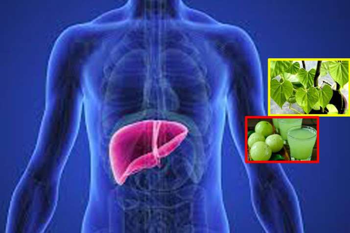 these home remedies will keep your liver healthy in hindi these home remedies will keep your liver healthy in hindi- India TV
