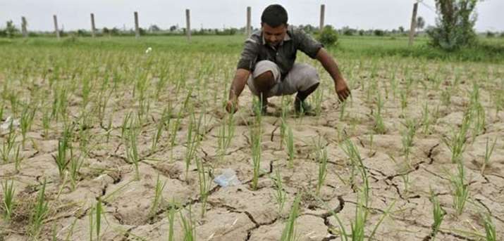 Big Rainfall deficit in Gujarat, Rajasthan and Uttar Pradesh as Monsoon gets slow Big Rainfall deficit in Gujarat, Rajasthan and Uttar Pradesh as Monsoon gets slow- India TV Paisa