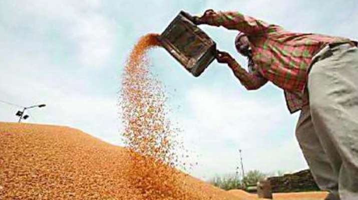 Wheat Procurement Wheat Procurement- India TV Paisa