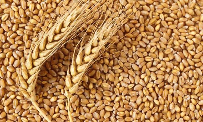 India Wheat Procurement surpasses 35 million tons India Wheat Procurement surpasses 35 million tons- India TV Paisa
