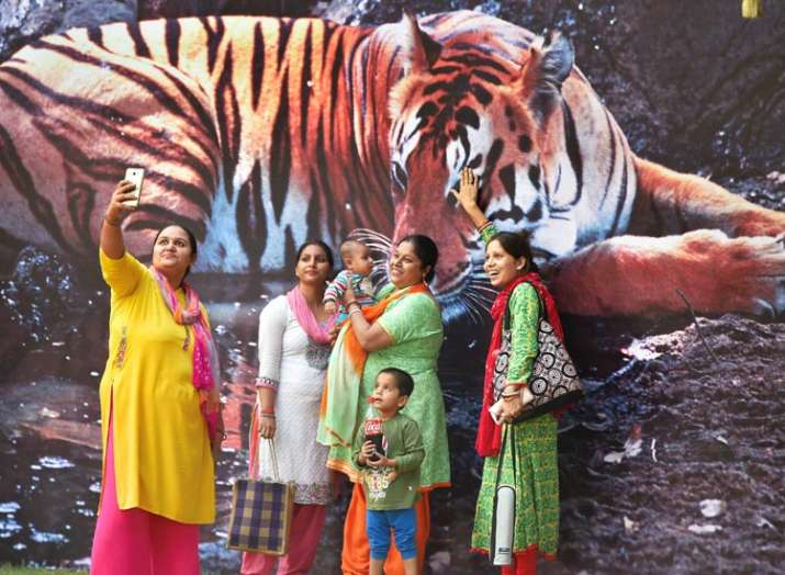 मध्यप्रदेश, टाइगर स्टेट, टाइगर मध्यप्रदेश, टाइगर स्टेट, टाइगर- India TV