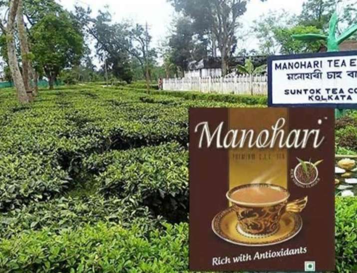 Assam Gold Tea Manohari Assam Gold Tea Manohari- India TV Paisa