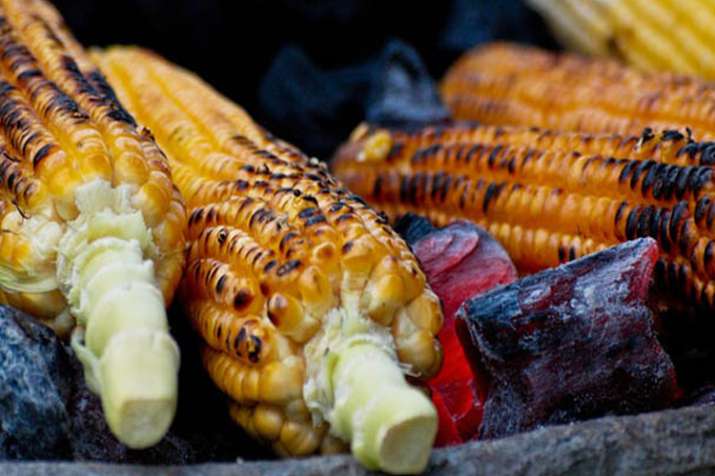 corn corn- India TV