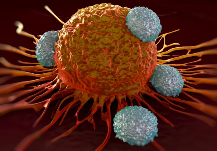 Cancer Cancer- India TV