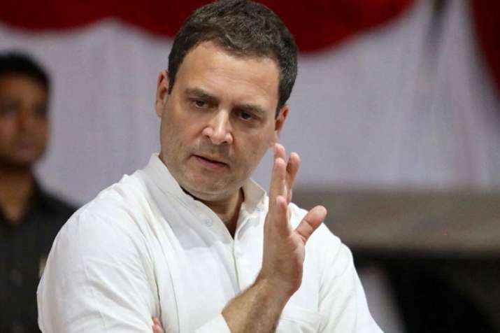 congress president rahul gandhi congress president rahul gandhi- India TV