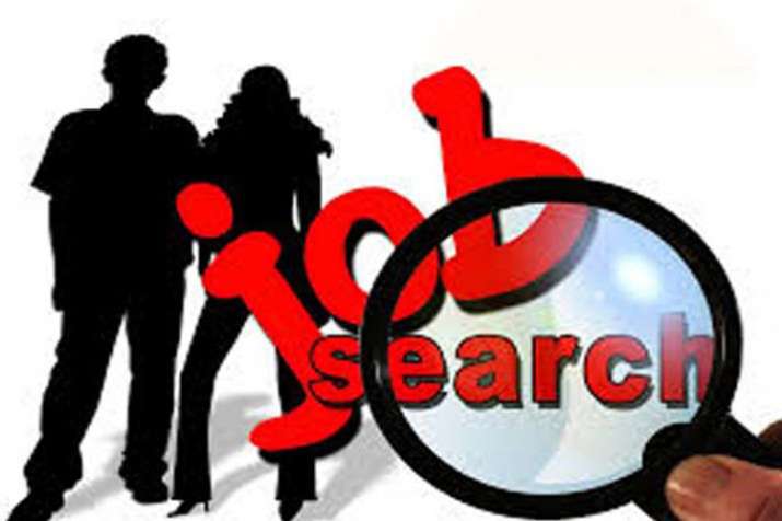Govt Job Govt Job- India TV