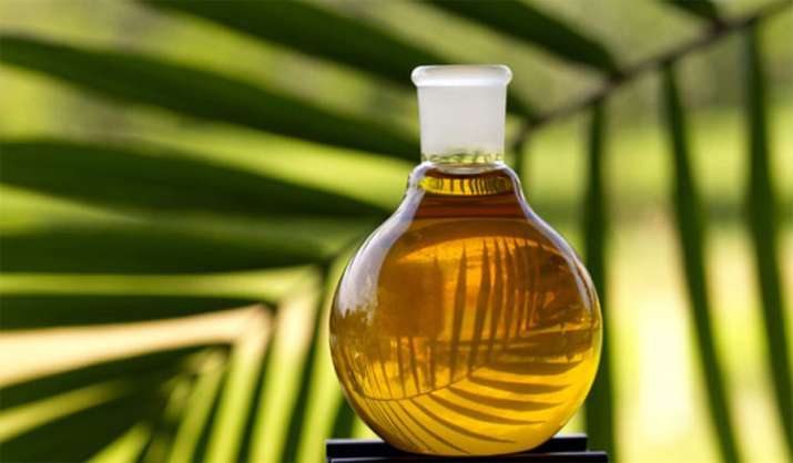 Edible oil import falls to 25 months low while palm oil import is lowest in 52 months Edible oil import falls to 25 months low while palm oil import is lowest in 52 months- India TV Paisa