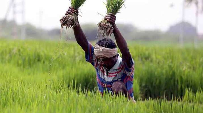 Government hikes MSP for Kharif crops for 2018-19 marketing season Government hikes MSP for Kharif crops for 2018-19 marketing season- India TV Paisa