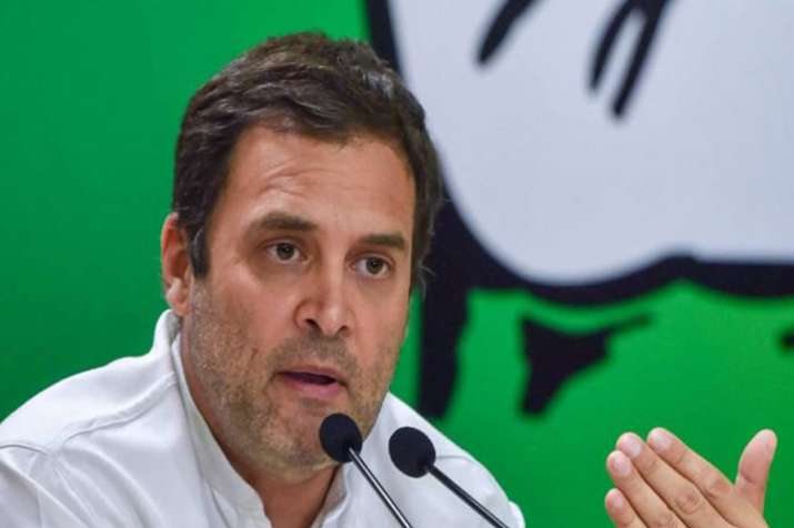 congress president rahul gandhi congress president rahul gandhi- India TV