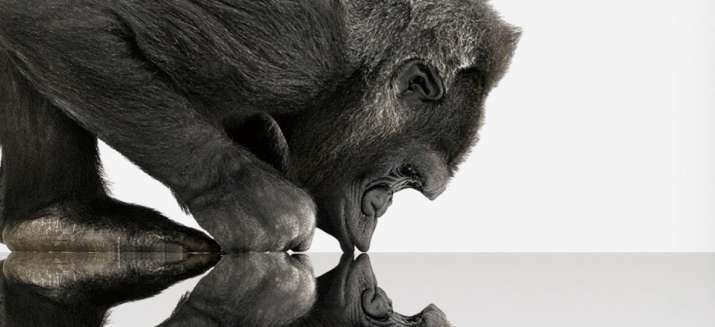 corning Gorrilla Glass corning Gorrilla Glass- India TV Paisa