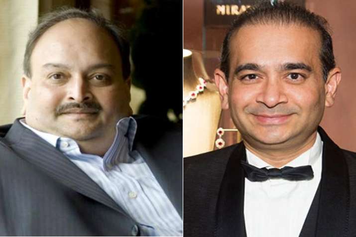 Nirav Modi and Mehul chokse Nirav Modi and Mehul chokse- India TV