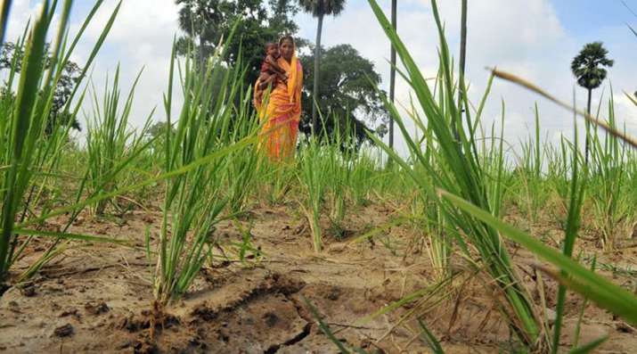 Rainfall deficit widens to 10 percent during ongoing monsoon season Rainfall deficit widens to 10 percent during ongoing monsoon season- India TV Paisa