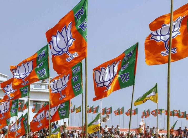 बीजेपी, लोकसभा चुनाव, उत्तर प्रदेश बीजेपी, लोकसभा चुनाव, उत्तर प्रदेश- India TV