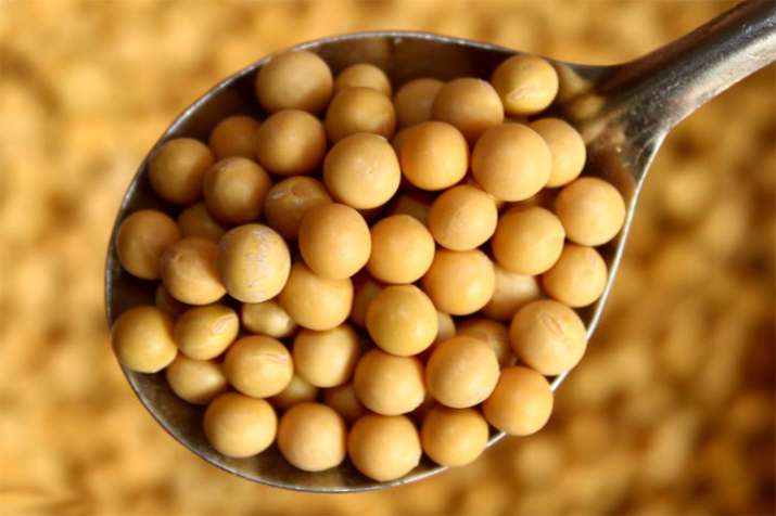 China likely to purchase Soybean meal from Maharastra China likely to purchase Soybean meal from Maharastra- India TV Paisa