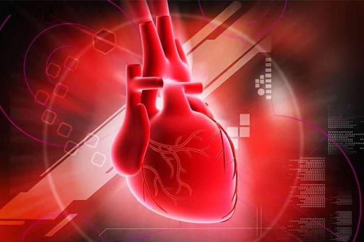 Heart Attack Heart Attack- India TV