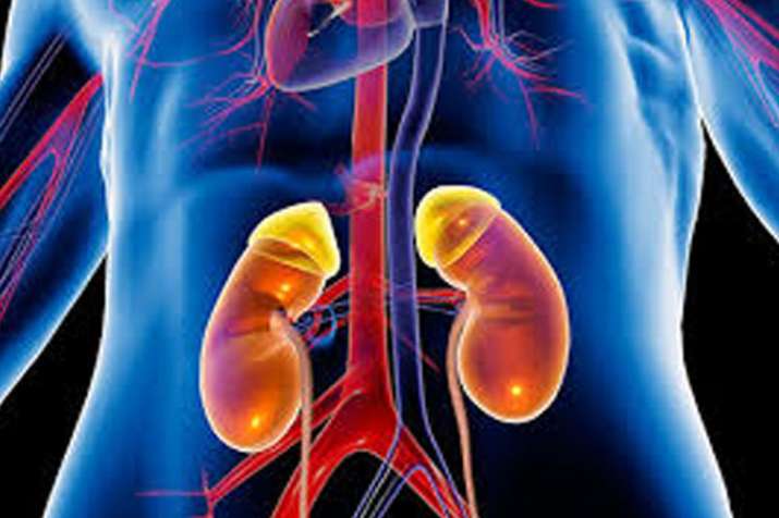 kidney kidney- India TV