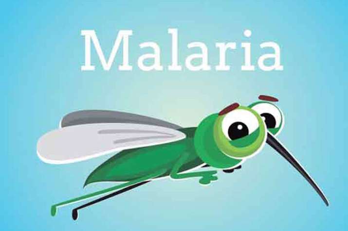 Malaria Malaria- India TV