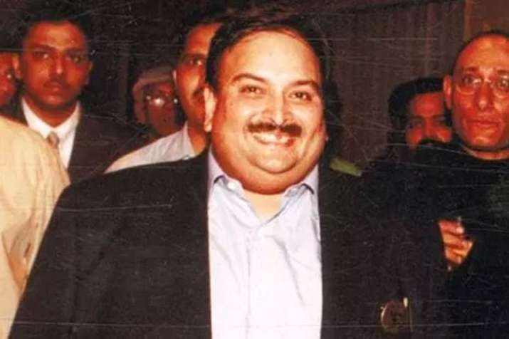 Mehul Choksi’s properties are money laundering assets, says PMLA Authority Mehul Choksi’s properties are money laundering assets, says PMLA Authority- IndiaTV Paisa