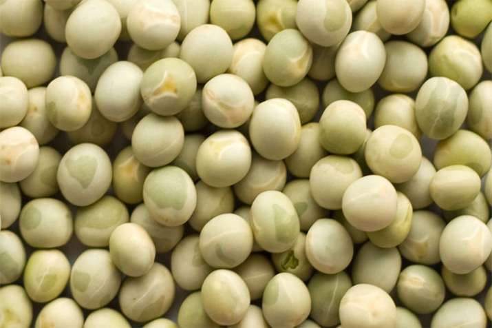 Government extends peas import ban for 3 months till December 31st Government extends peas import ban for 3 months till December 31st- India TV Paisa