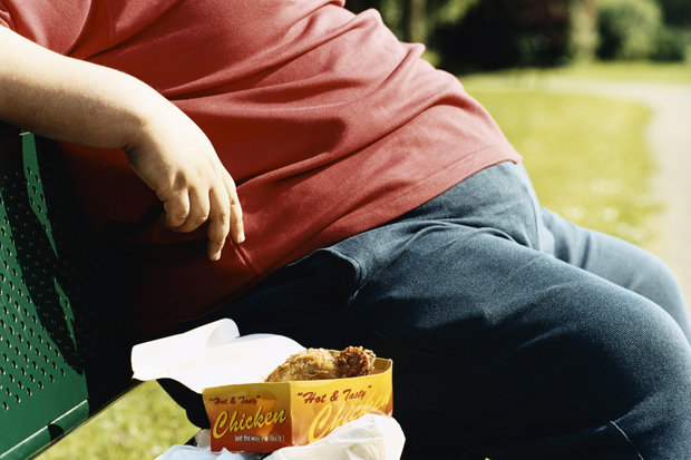 Obesity Obesity- India TV