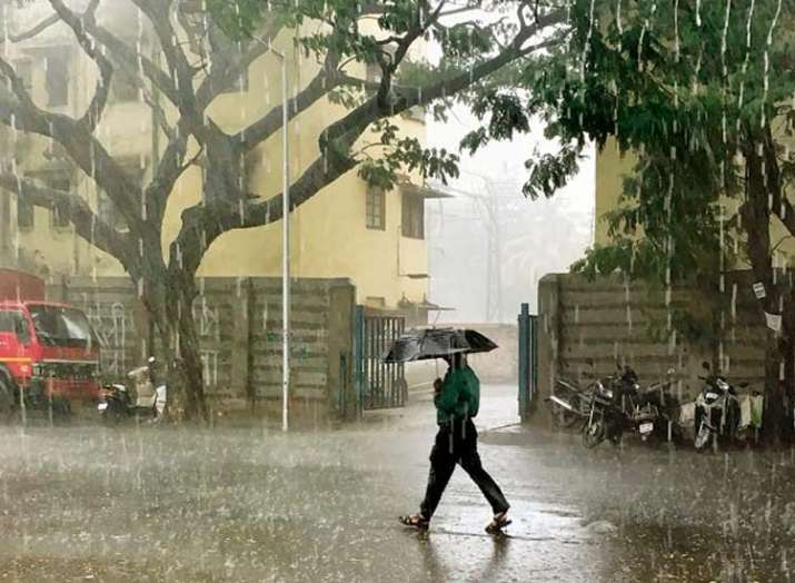 Maharashtra, water, monsoon Maharashtra, water, monsoon- India TV