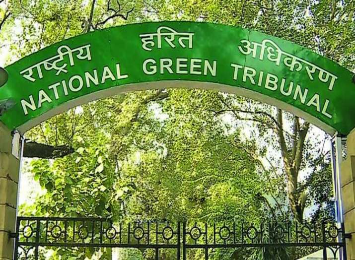 NGT, climate change NGT, climate change- India TV