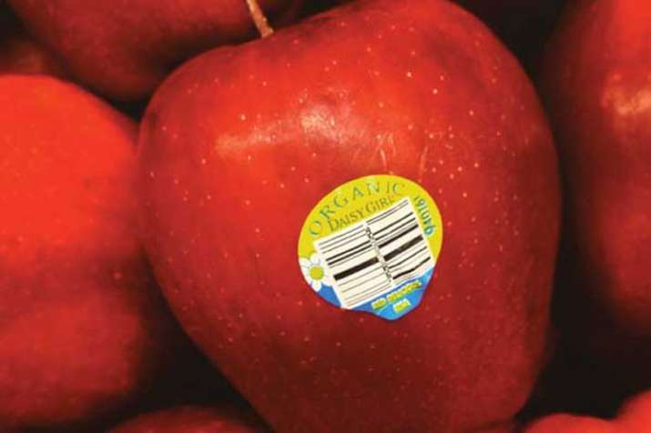 FSSAI ask traders to avoid sticker on fruits FSSAI ask traders to avoid sticker on fruits- India TV Paisa