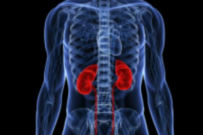 kidney problem kidney problem- India TV