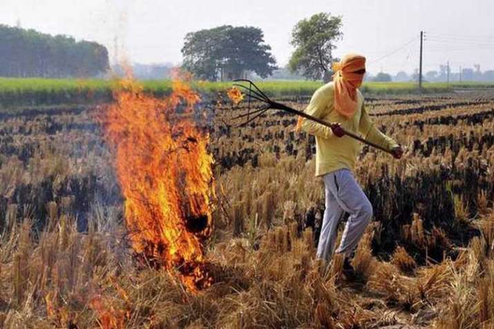 Stubble burning in neighbouring states Stubble burning in neighbouring states- India TV