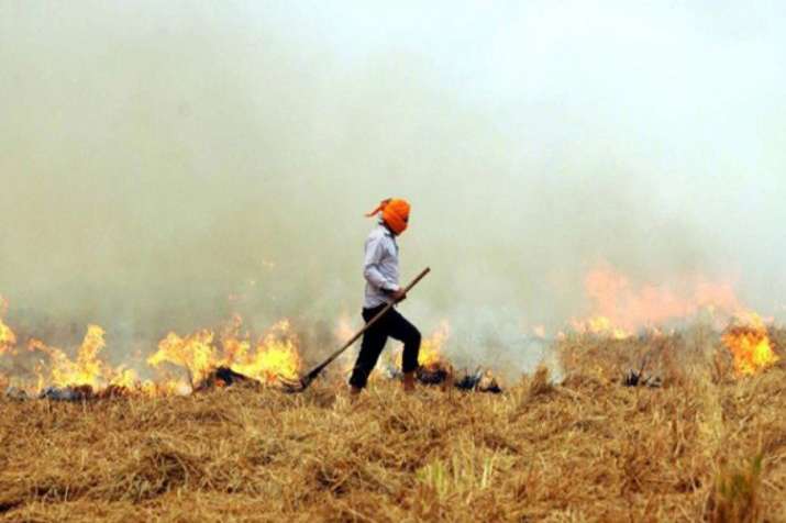 Take urgent measures to assist farmers to prevent crop residue burning : NGT to states Take urgent measures to assist farmers to prevent crop residue burning : NGT to states- India TV