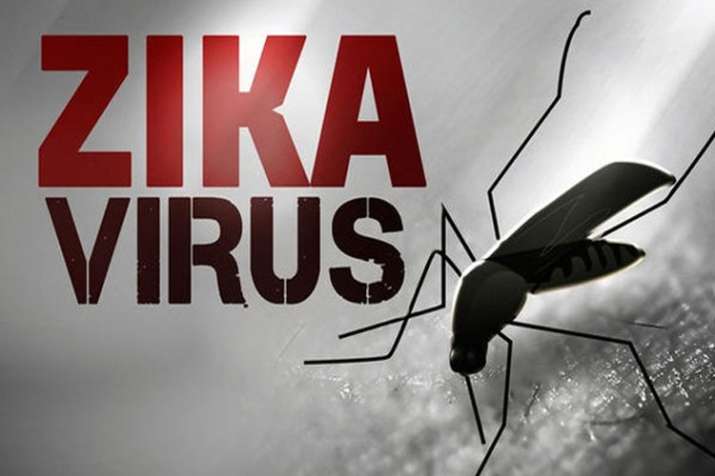 Zika Virus Zika Virus- India TV