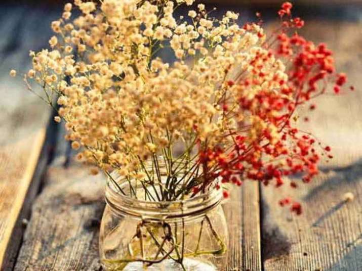 Flower Flower- India TV